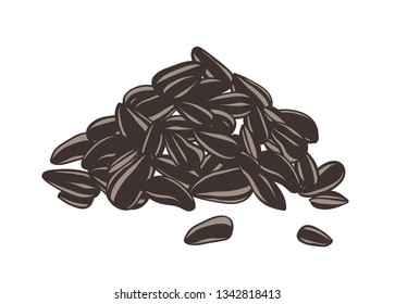 Detailed drawing of handful or pile of sunflower seeds or fruits. Kernels in hulls hand drawn on white background. Delicious dietary food or snack. Realistic vector illustration in vintage style.