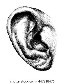 Detailed Drawing Human Ear Black White Stock Vector (Royalty Free ...