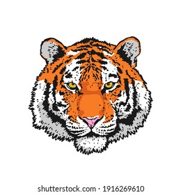 Detailed drawing of a tiger. Tiger head. The symbol of the new 2022. Vector illustration isolated on white background.