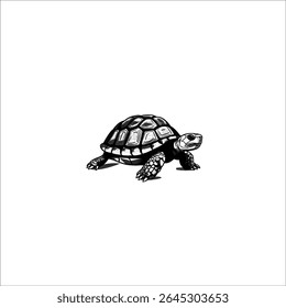 Dessin détaillé d'une tortue marchant, isolée sur fond blanc. L'illustration montre les motifs complexes de sa coquille et de ses écailles.