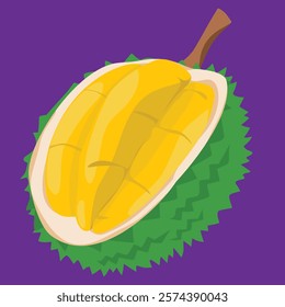 Detailed Durian Vector Artwork Showcasing the King of Tropical Fruits  Spiky Green Shell with Creamy Yellow Flesh and Seeds, Exotic Southeast Asian Heritage and Flavor