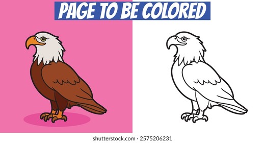 Detailed eagle coloring page for kids and adults. Includes filled color and black-and-white outlines. Ideal for creative art and printable use.