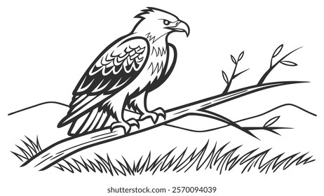 Detailed Eagle on Branch Artwork Vector Illustration