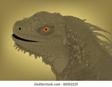Detailed editable vector illustration of an iguana head