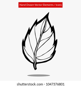 Detailed Elements Hand Drawn Vector Rose Leaf Flora Natural Nature Organic Set. Graphic Design Resource, Vector Illustration