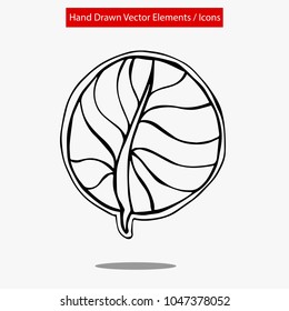 Detailed Elements Hand Drawn Vector Circle Shape Leaf Flora Natural Nature Organic Set. Graphic Design Resource, Vector Illustration