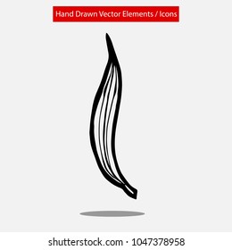 Detailed Elements Hand Drawn Vector Very Long Leaf Flora Natural Nature Organic Set. Graphic Design Resource, Vector Illustration