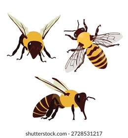 Una composición de Vector detallada y atractiva que celebra el mundo de la apicultura y la dulzura natural. La ilustración muestra tres adorables abejas interactuando activamente con su entorno: una vuela hacia una celda hexagonal dorada llena de miel, otra descansa en el peine y una tercera inspecciona un cucharón de madera tradicional. La obra de arte destaca un prominente panal de abeja goteante y una herramienta de cocina clásica, todo aislado limpiamente en blanco. Realizado en un estilo de Vector cálido, acogedor y ligeramente estilizado, este gráfico es ideal para el empaque de productos en el sector de alimentos naturales y cuidado de la piel orgánico, contenido educativo sobre polinización, marca para productores artesanales, Sitios web de negocios ecológicos y cualquier diseño que requiera un tema saludable, rústico o ecológico. El archivo incluye Elementos editables en capas para una máxima personalización.