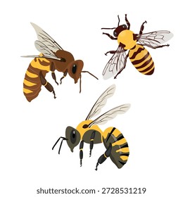 A detailed and engaging vector composition celebrating the world of beekeeping and natural sweetness. The illustration features three adorable honey bees actively interacting with their environment: one flies towards a golden, honey-filled hexagonal cell, another rests on the comb, and a third inspects a traditional wooden dipper. The artwork highlights a prominent, dripping honeycomb and a classic kitchen tool, all cleanly isolated on white. Rendered in a warm, inviting, and slightly stylized vector style, this graphic is ideal for product packaging in the natural foods and organic skincare sector, educational content on pollination, branding for artisanal producers, eco-friendly business websites, and any design requiring a wholesome, rustic, or eco-conscious theme. The file includes layered, editable elements for maximum customization.