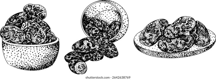 Detailed engraving vector art of dates, showcasing dried dates. Ideal for food, culinary, or nature themed stock designs.