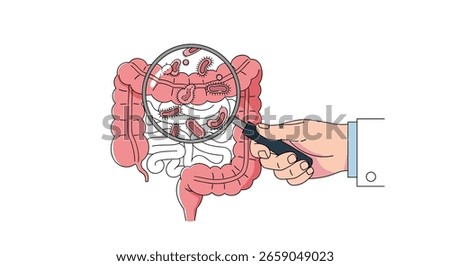 Detailed examination of the human digestive system for understanding intestinal health and potential issues