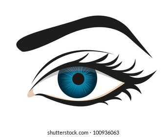 detailed eye lashes and eyebrows, vector illustration