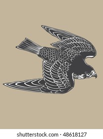 Detailed falcon