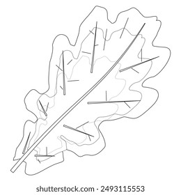 Detailed fall leaves coloring page featuring oak, maple, and rowan leaves. Perfect for autumn-themed creative projects and activities.