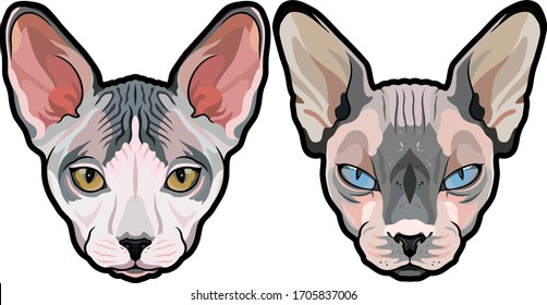 Detailed fashion vector portraits of Elegant Sphynx cat heads isolated