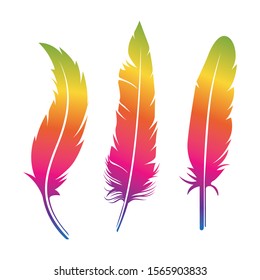 detailed feather in rainbow color logo design illustration template