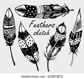 Detailed feathers. Boho illustration. Feather set in Native American Indian style. Boho design, tattoo art, coloring book for adults.