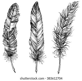 227,402 Detailed Feathers Images, Stock Photos & Vectors | Shutterstock