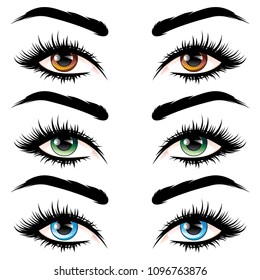 Detailed female eyes with long eyelashes illustration on white background.