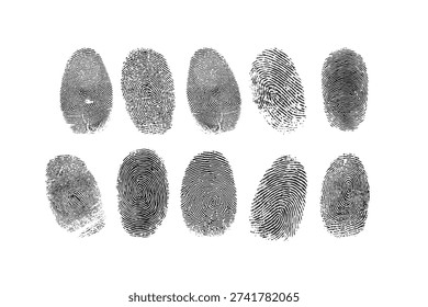 Detailed fingerprint patterns isolated for security, identity and forensic themes.