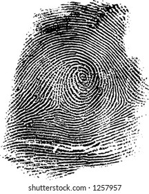Detailed Fingerprint (Vector Format)