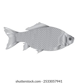 A detailed fish illustration with smooth effects.