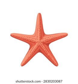 Detailed Five Arm Red Starfish Illustration Isolated on White Background for Marine Design Projects