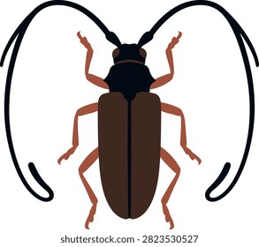 Detailed flat design vector icon of a brown longhorn beetle with longhorn antennae wildlife entomology illustration creature
