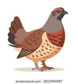 A detailed flat graphic design of a ruffed grouse standing isolated on a white background showing its patterned plumage