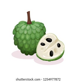 Detailed flat vector design of whole and half of ripe cherimoya. Exotic fruit. Organic food. Custard apple