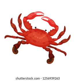 Detailed flat vector icon of bright red crab. Marine animal with claws. Seafood theme