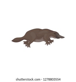 Detailed flat vector icon of brown platypus, side view. Aquatic mammal animal of Australia. Wildlife and fauna theme