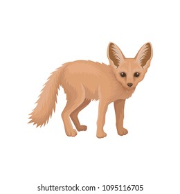 Detailed flat vector icon of cute fennec. Small pale fox with large pointed ears and fluffy tail. Wild animal of tropical African fauna