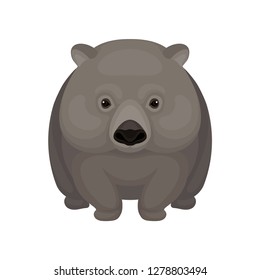 Detailed flat vector icon of cute gray wombat. Small Australian marsupial bear with short legs. Wildlife theme