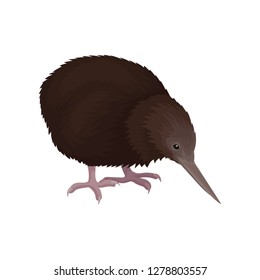 Detailed flat vector icon of kiwi bird. Wild Australian animal with long beak, brown feathers and short legs. Wildlife theme