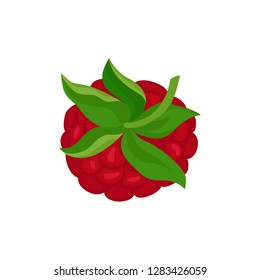 Detailed flat vector icon of ripe raspberry with green peduncle. Sweet summer berry. Natural food. Fresh juicy fruit