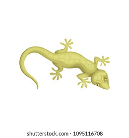 Detailed flat vector icon of small-spotted lizard. Reptile with long body and tail, four legs, movable eyelids and green scaly skin