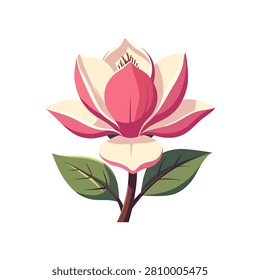 Detailed flat vector illustration of a blooming pink and cream magnolia flower with lush green leaves and a brown stem, isolated on a white background.