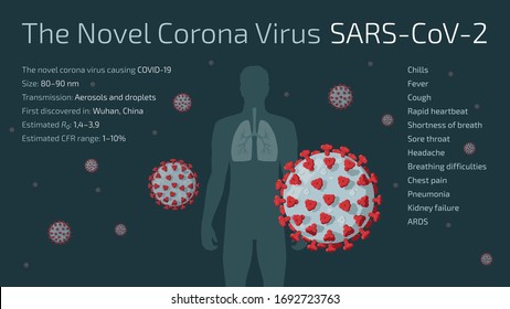 Detailed flat vector illustration of The Novel Corona Virus SARS-CoV-2 with human silhouette and lungs in the background. COVID-19 symptoms listed. Feel free to use only parts of the illustration too.