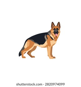 Detailed Flat Vector Illustration of a Purebred German Shepherd Dog Standing Isolated on White