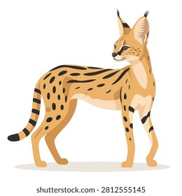 A detailed flat vector illustration of a wild serval cat with distinctive black spots and large ears standing and looking back