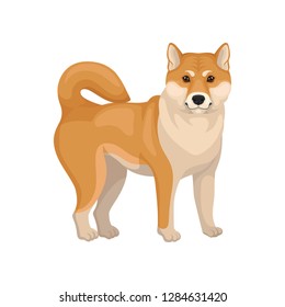 Detailed flat vector portrait of cute Shiba Inu. Dog with red-beige coat. Domestic animal. Home pet