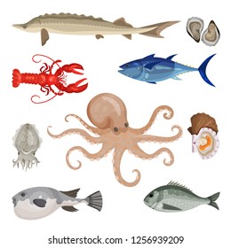 Detailed flat vector set of different seafood. Edible marine products. Sea creatures. Fish, lobster and mollusks