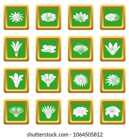 Detailed flower icons set vector green square isolated on white background 