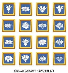 Detailed flower icons set vector blue square isolated on white background 