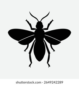 Detailed fly insect illustration in vector format, ideal for nature, science, biology, and educational projects. High-quality and ready for print or digital use