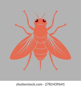 Detailed Flying Bug Anatomy Design