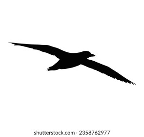 Detailed flying gannet bird illustration.