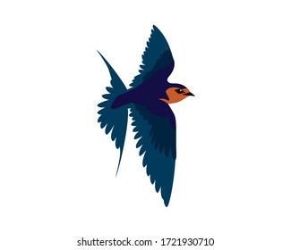 Detailed Flying Swallow Bird Illustration 