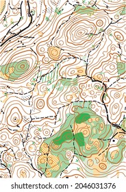 Fragmento detallado del mapa topográfico vector abstracto